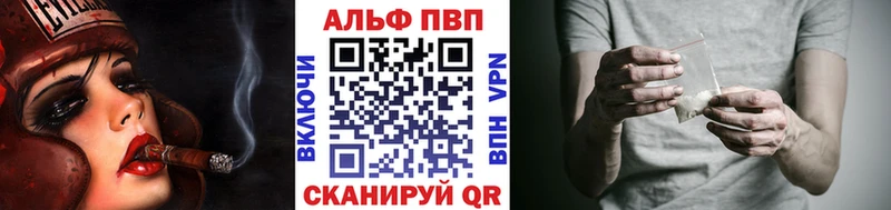 darknet как зайти  Бабушкин  A PVP СК 