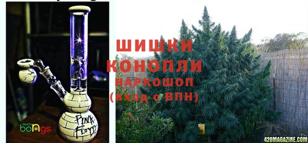 ешки Алексин
