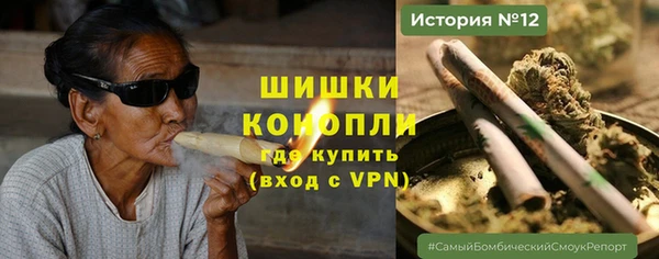 соль ск Алзамай